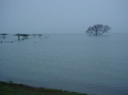 Click to view DSC00013.JPG