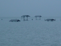 Click to view DSC00014.JPG