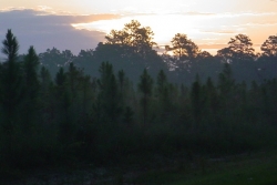 Click to view DSC00080.JPG