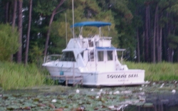 Click to view DSC00012.JPG