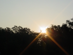 Click to view DSC00184.JPG