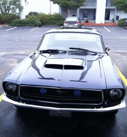 Click to view IMG_0241.JPG