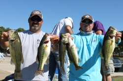Click to view IMG_8150.JPG
