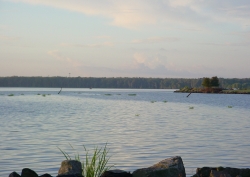 Click to view DSC00105.JPG