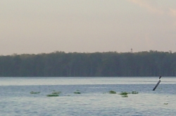 Click to view DSC00106.JPG