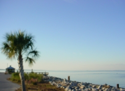 Click to view DSC00112.JPG