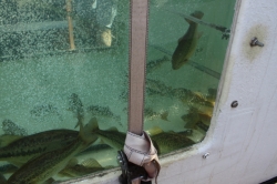 Click to view 7.JPG